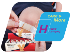 SWT-Category-H